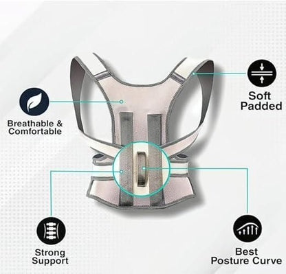 Spino V3.0 MaxComfort